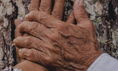 hand, texture, love, couple, romance, history, romantic, love, love, love, love, love