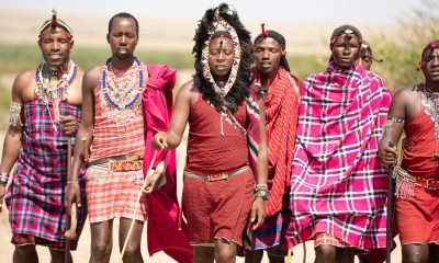 Group of Maasai men in traditional attire walking in the Kenyan landscape.